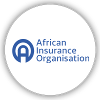 https://arca.cd/wp-content/uploads/2022/02/logo-african-insurance-organisation.png